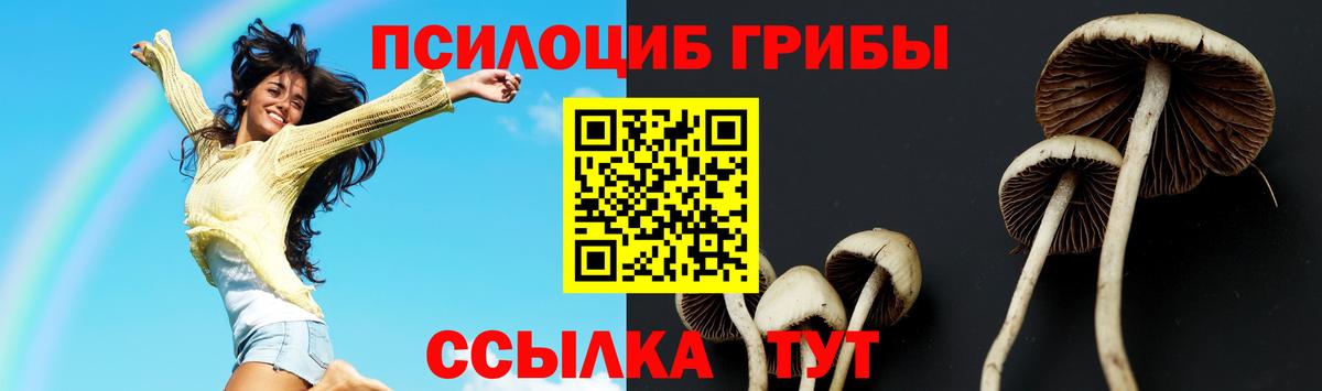 Югорск  Псилоцибиновые грибы Cubensis  наркошоп  Вход с VPN 